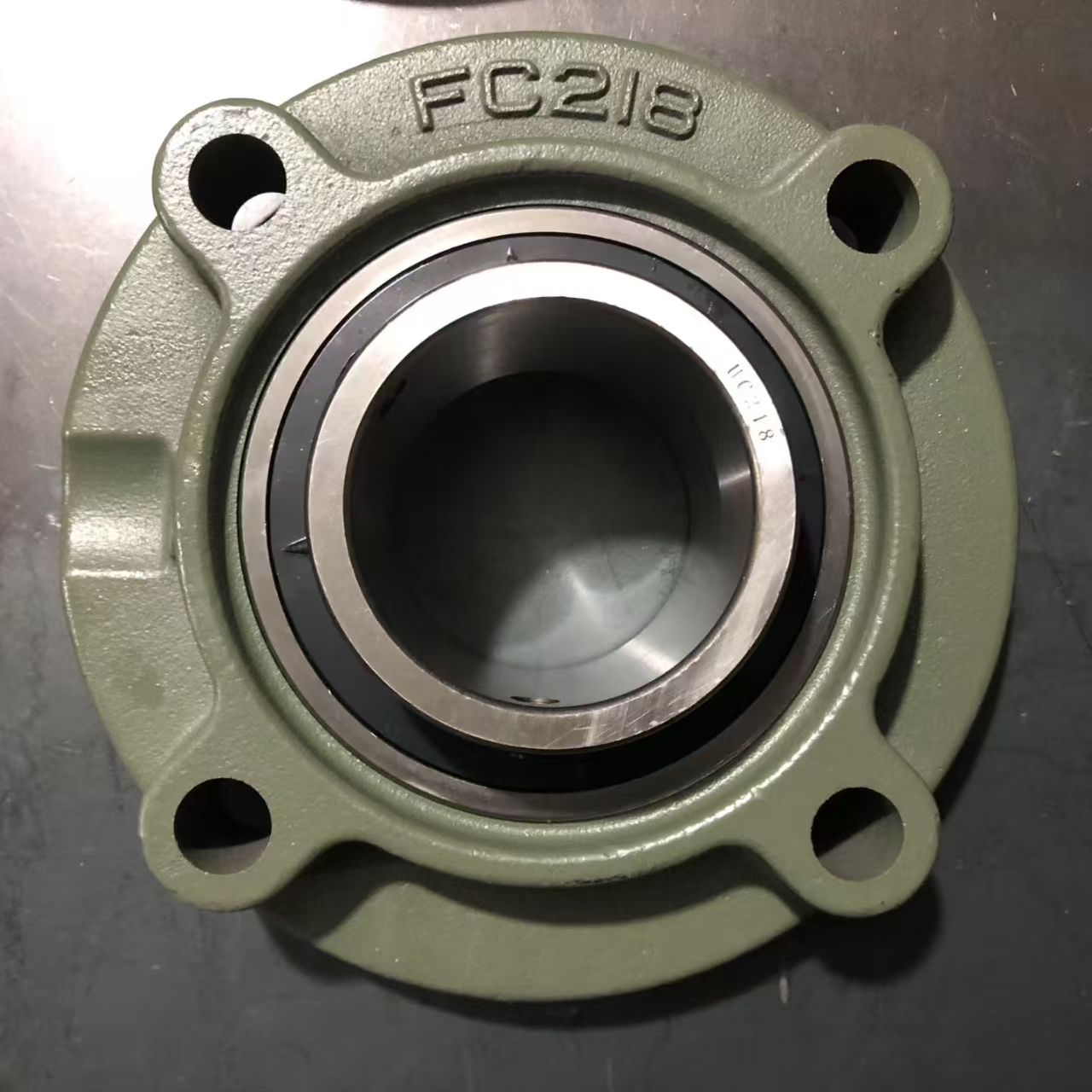 FC218 Flanged Cartridge Bearing Unit