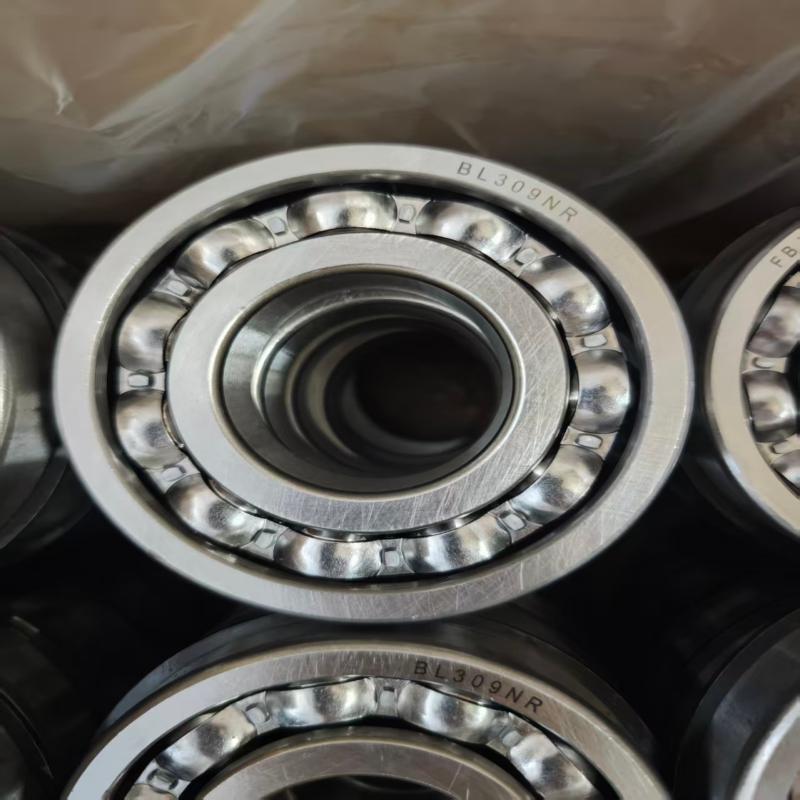 BL309NR Maximum Capacity Deep Groove Ball Bearing