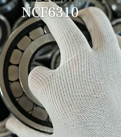 NCF6310/310 Full Complement Cylindrical Roller Bearing